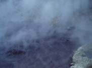 Rotorua - Hells Gate (Mud Pools)